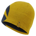 Ginkgo Gold Montane Jango Roundel Beanie Front HJRBEGIN
